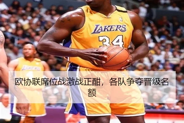 欧协联席位战激战正酣，各队争夺晋级名额